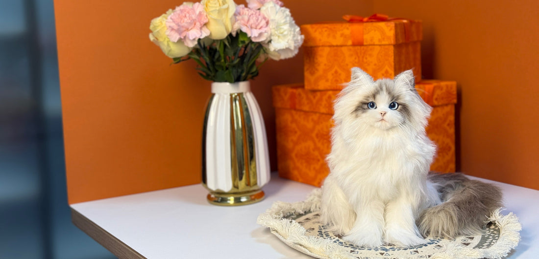 Why PawTrove Pet Is Redefining Premium Pet Products with Quality Materials & Thoughtful Design