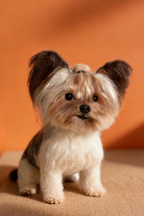 [Wool felt]  Full body clone