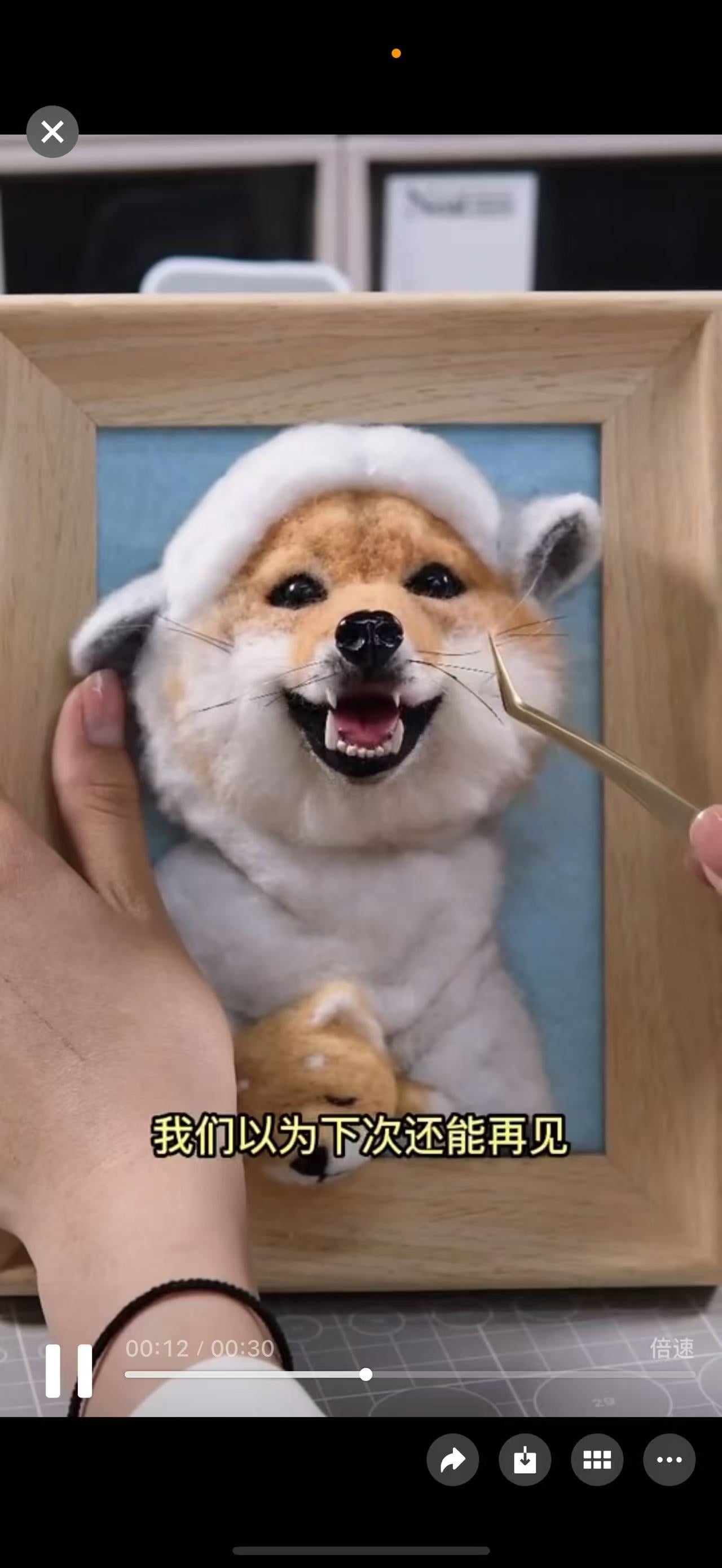 [Wool felt] Portrait