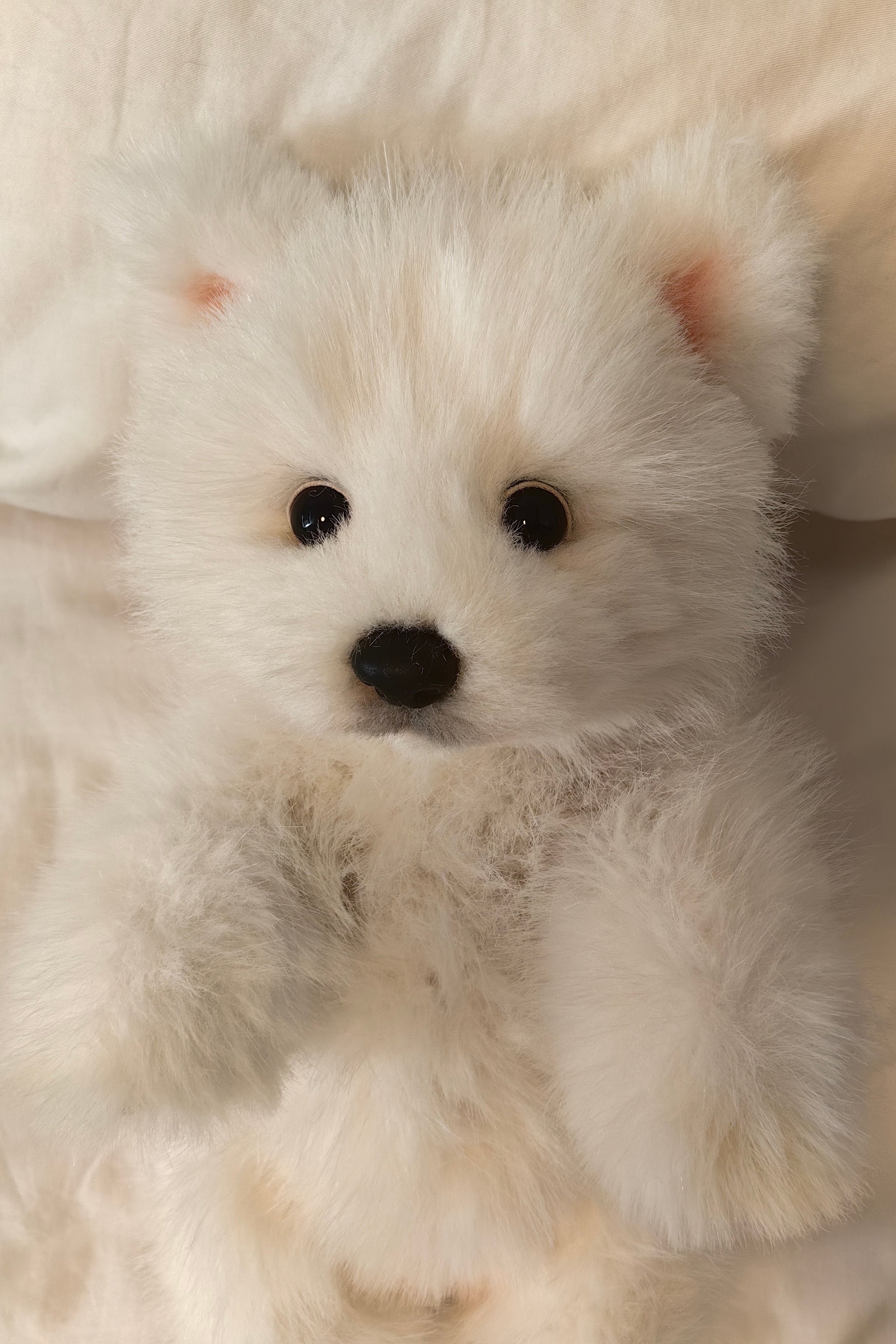 [Fabric]  Full body clone