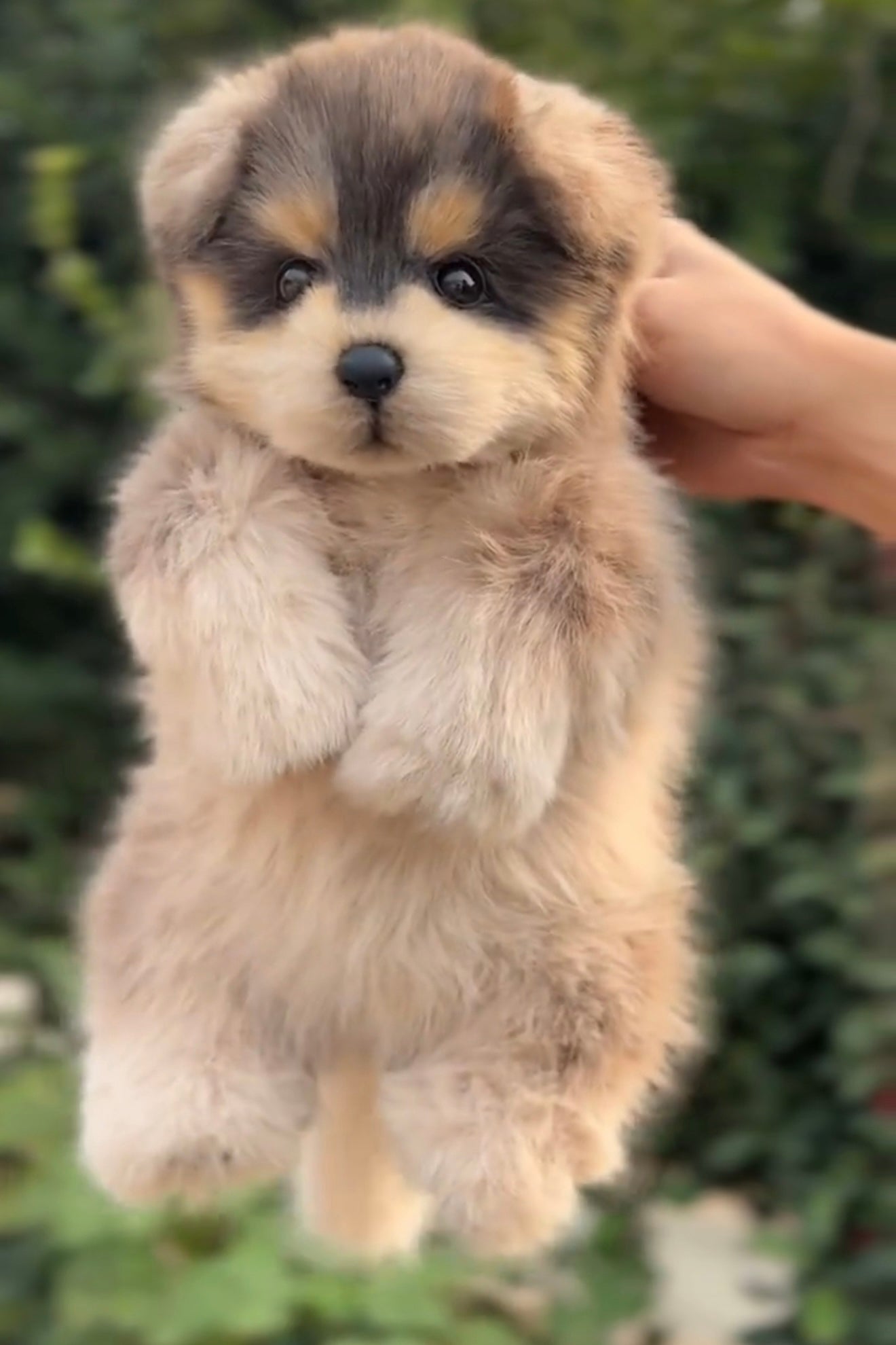 [Fabric]  Full body clone