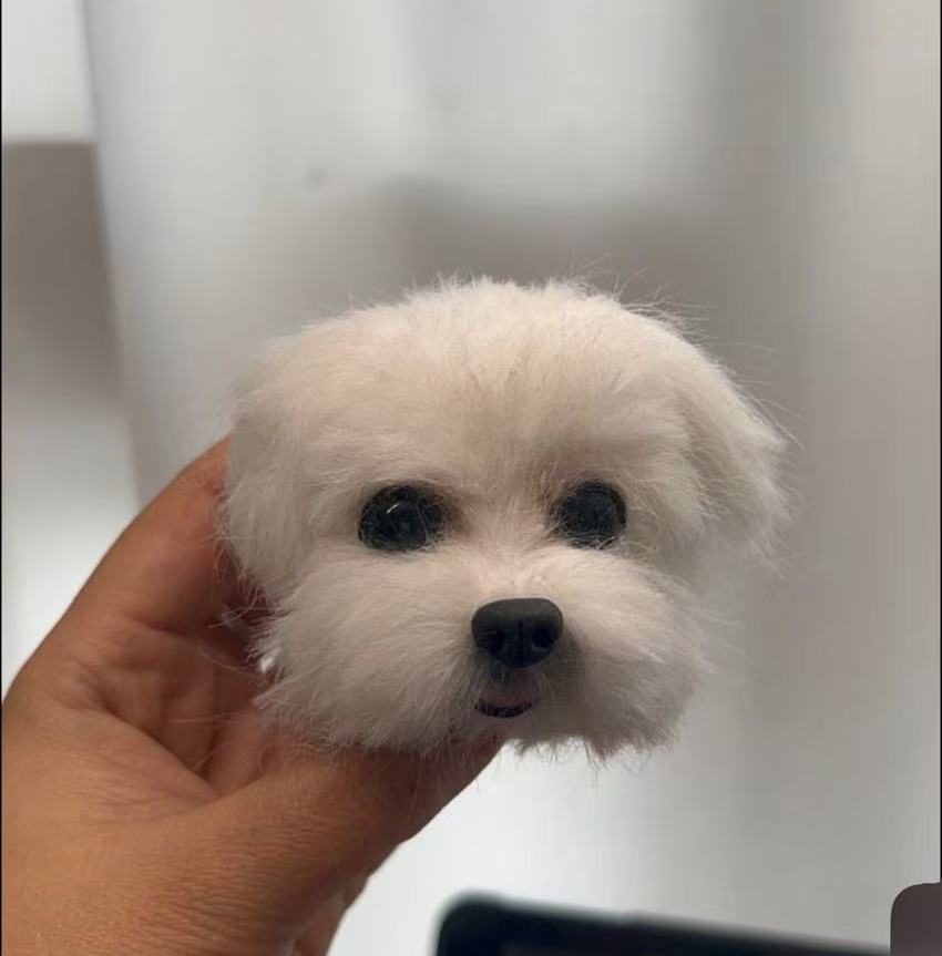 [Pipe cleaners] Ornament