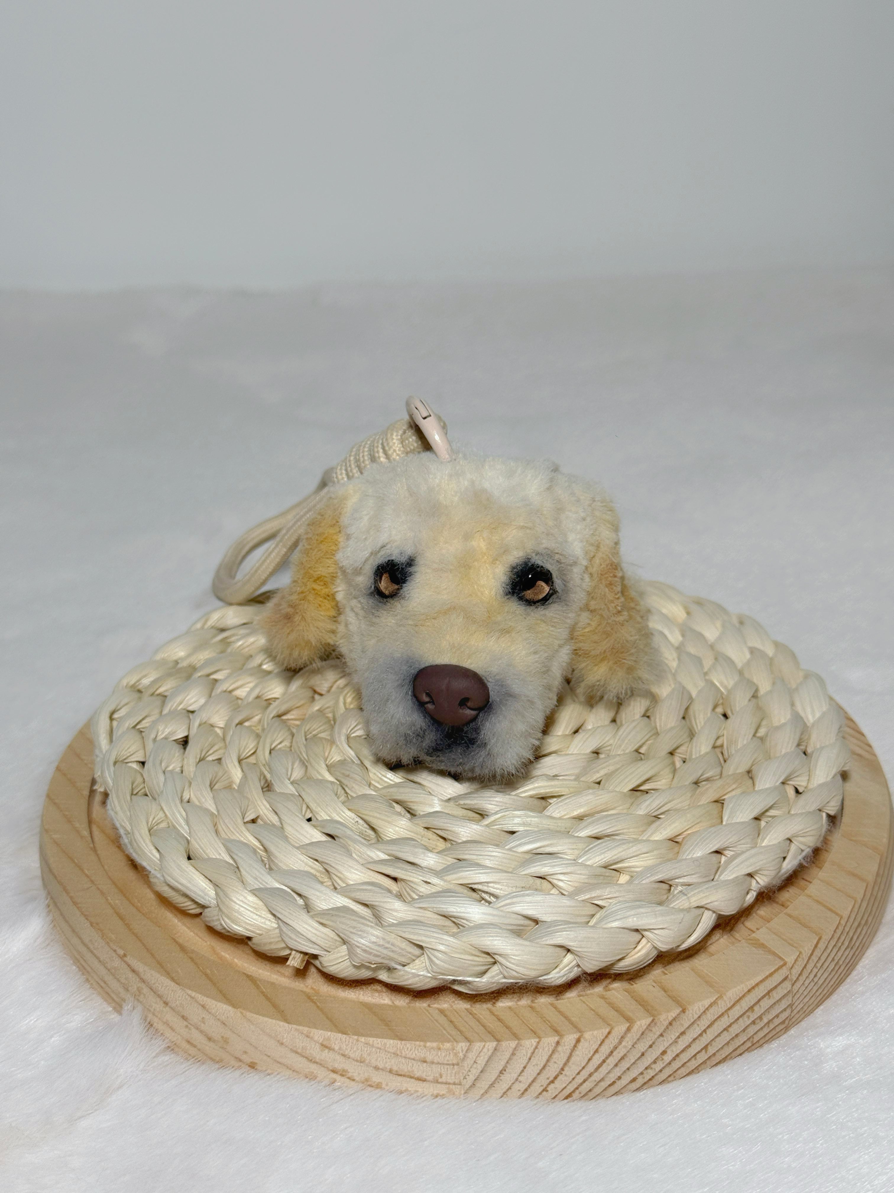 [Pipe cleaners] Ornament