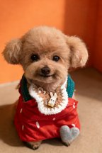 [Wool felt]  Full body clone