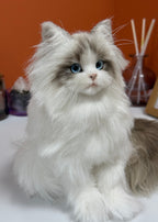 [Pipe cleaners]  Full body clone