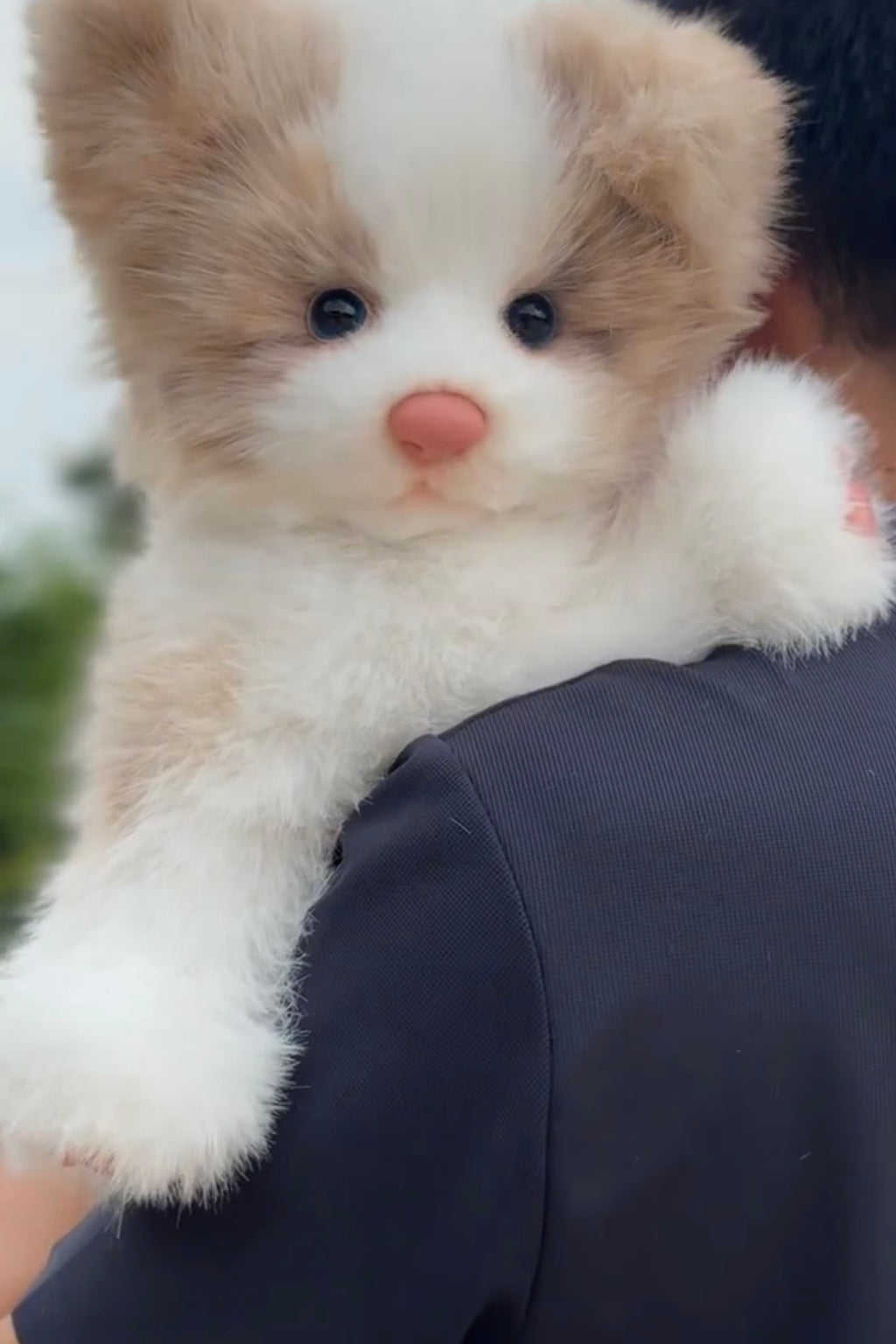 [Fabric]  Full body clone