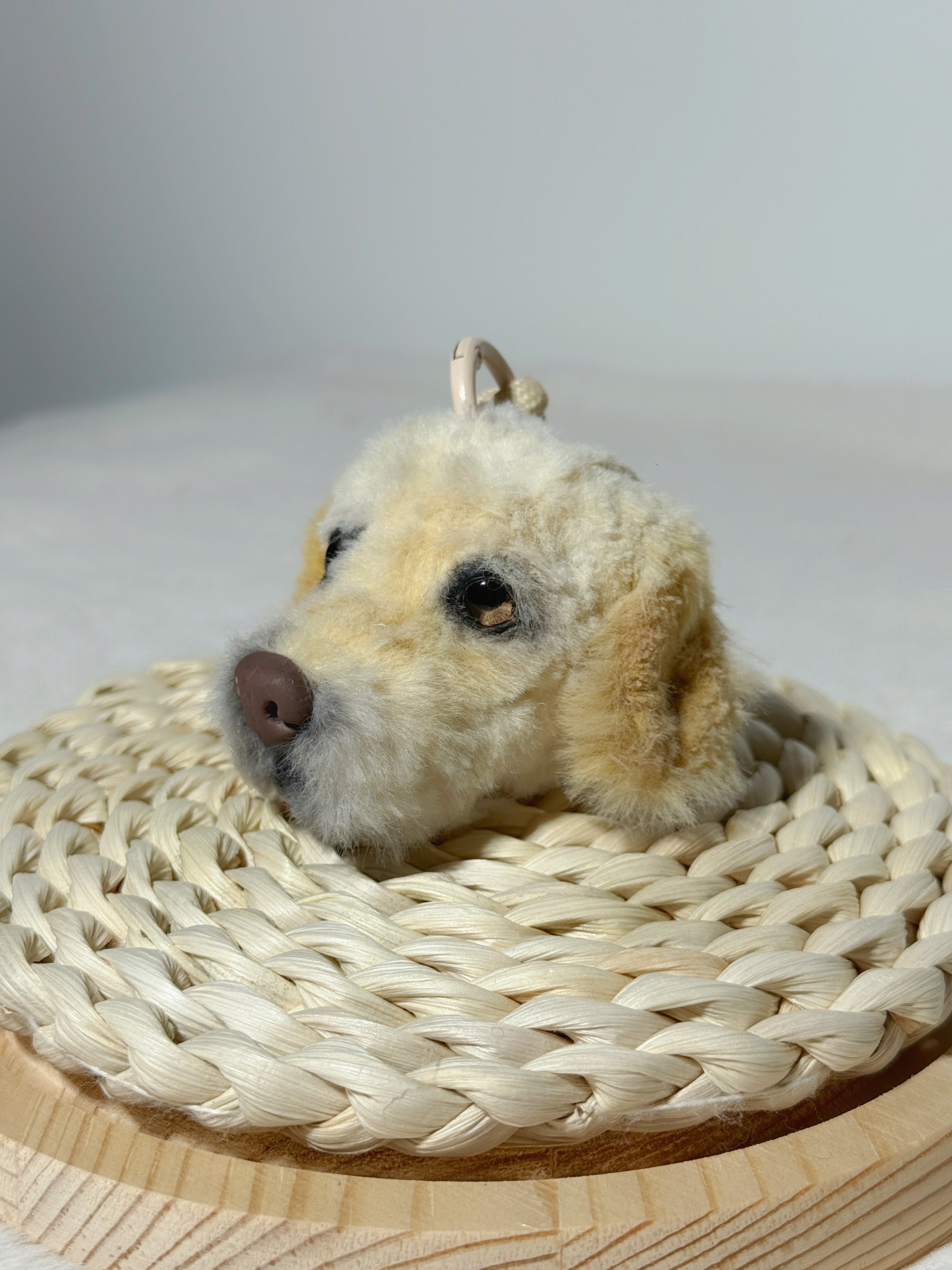 [Pipe cleaners] Ornament