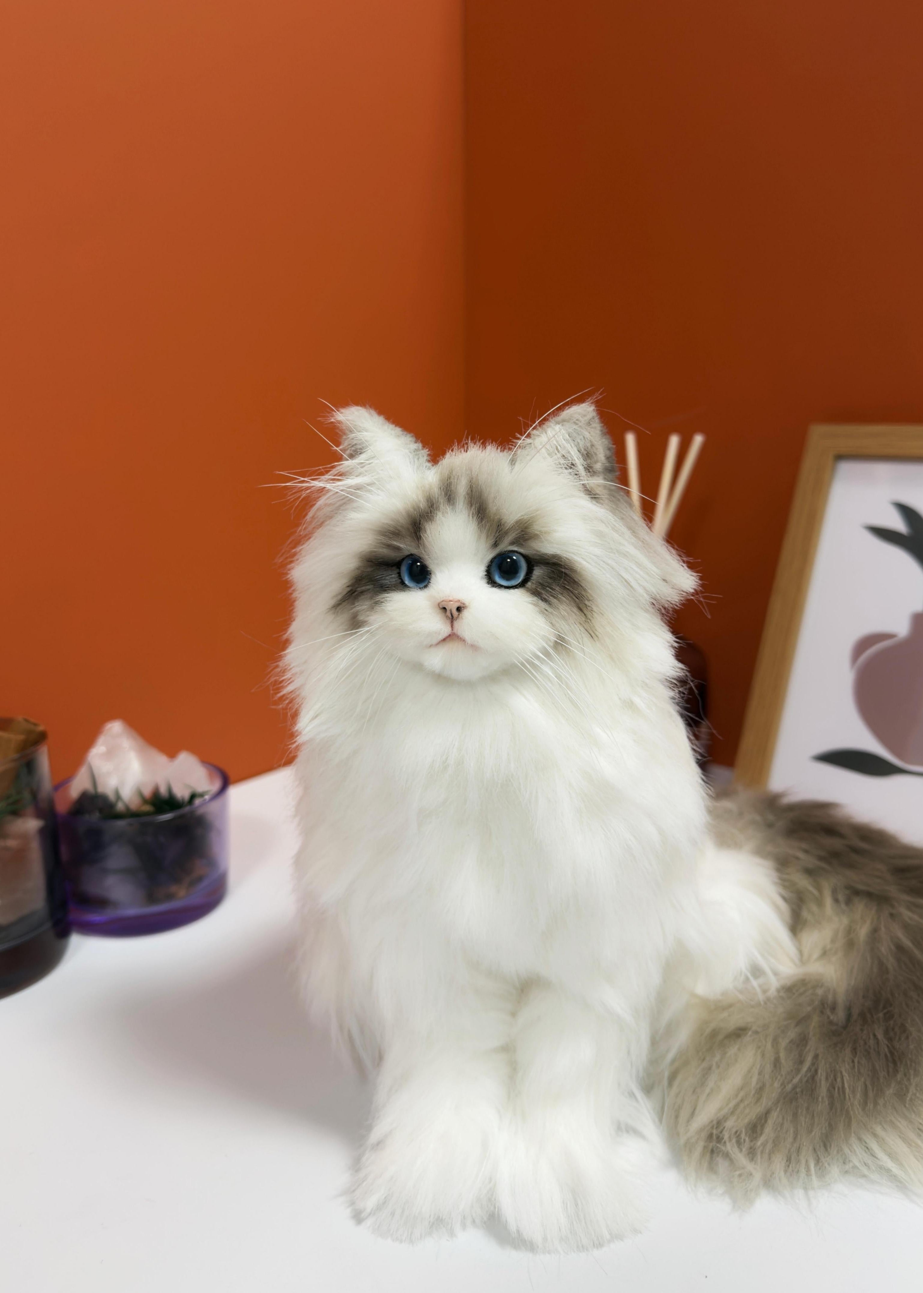 [Pipe cleaners]  Full body clone