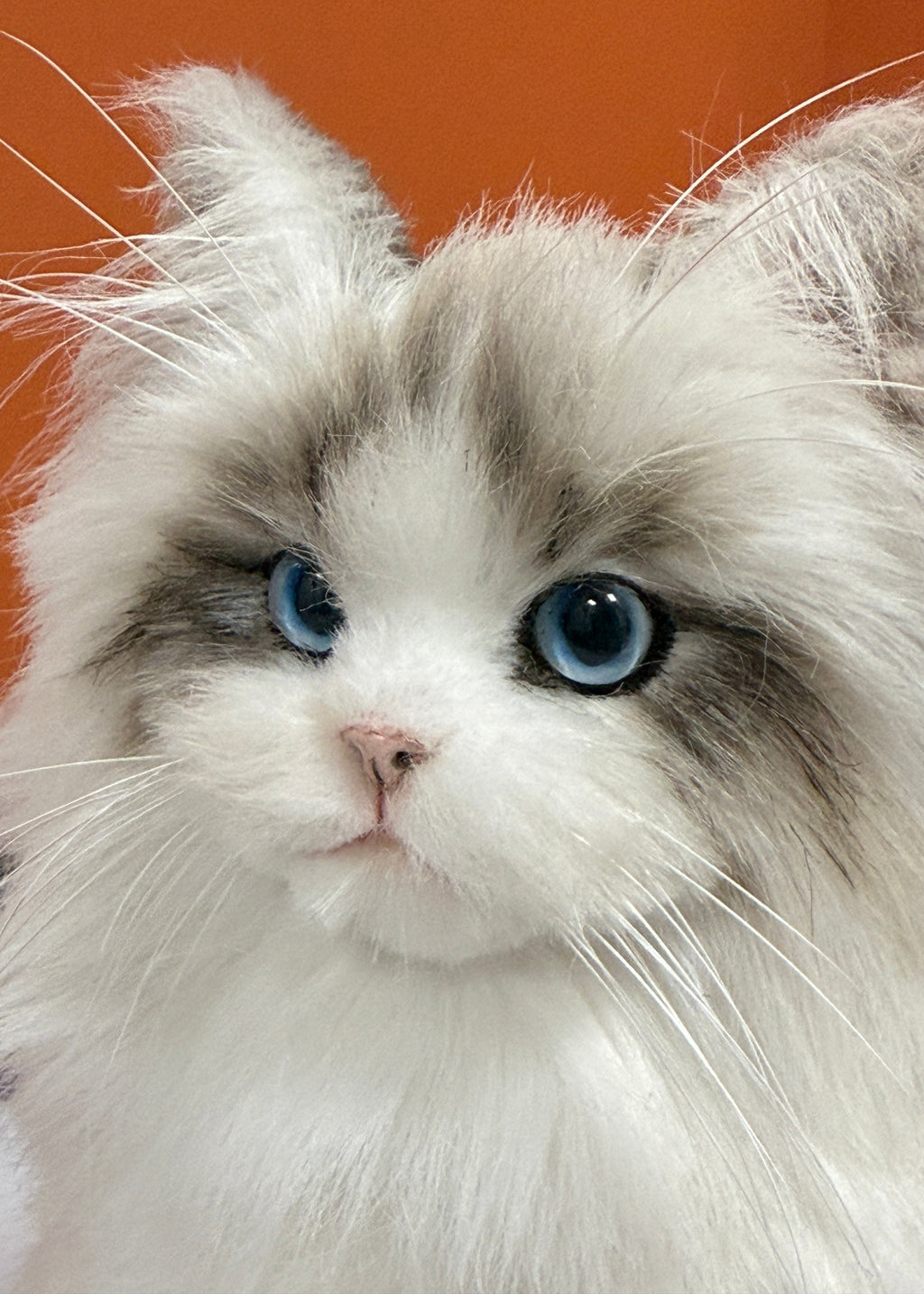 [Pipe cleaners]  Full body clone