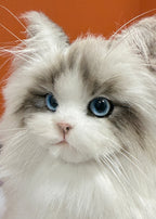 [Pipe cleaners]  Full body clone