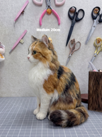 [Wool felt]  Full body clone