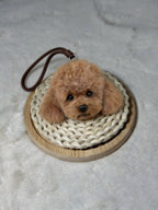 [Pipe cleaners] Ornament