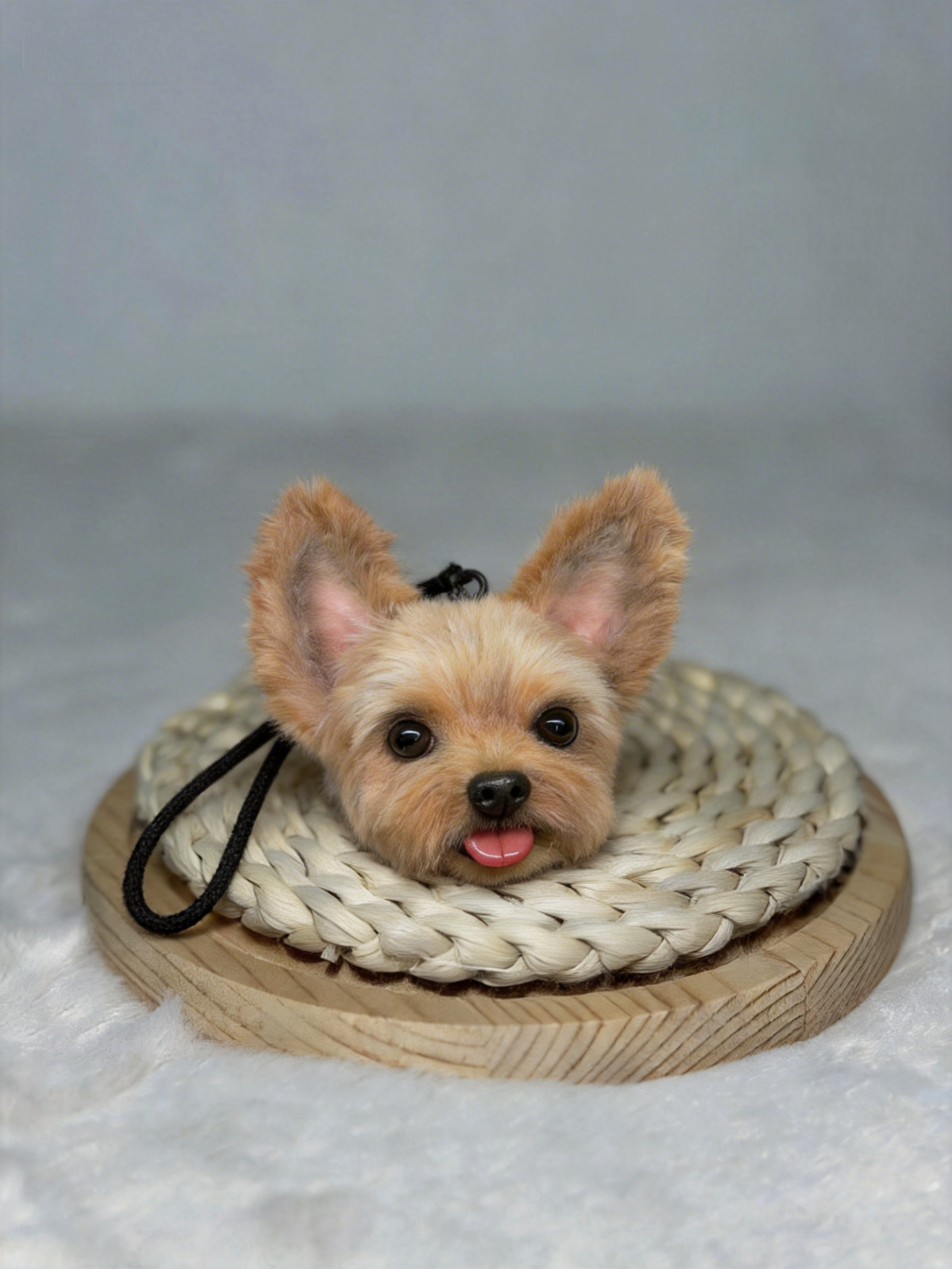 [Pipe cleaners] Ornament