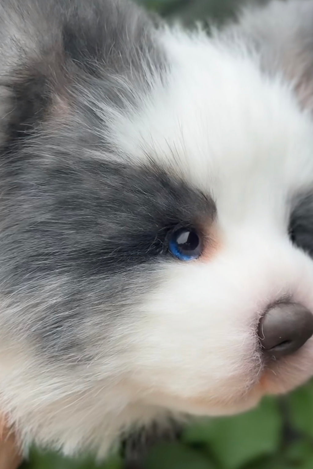 [Fabric]  Full body clone