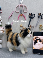 [Wool felt]  Full body clone