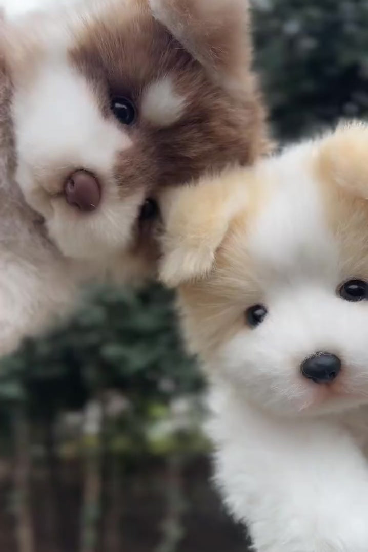 [Fabric]  Full body clone